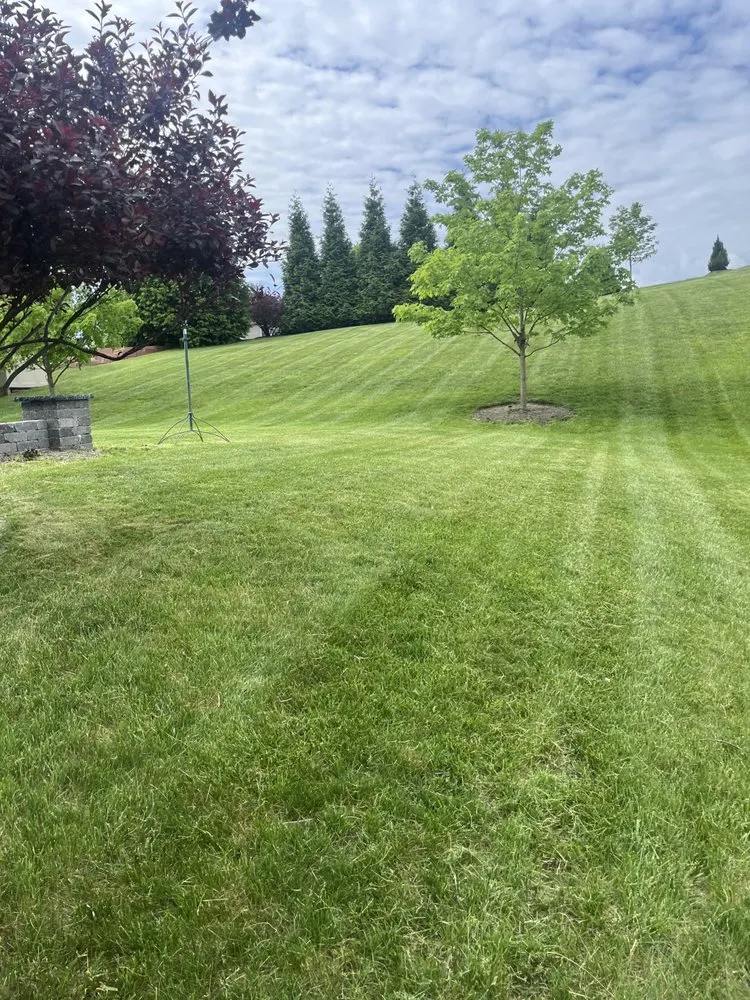 Trusted yard cleanup service for homes in Freedom, PA by Lawn Boys Landscaping