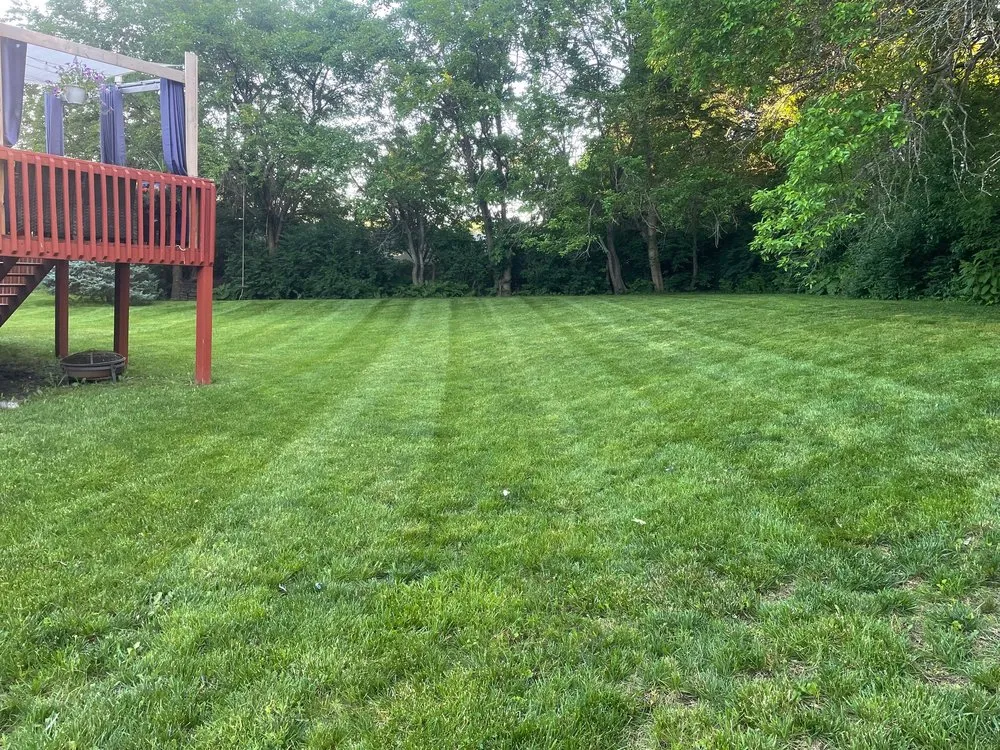 Affordable landscape design for year-round maintenance in Lee's Summit, MO by Lawn Boyz
