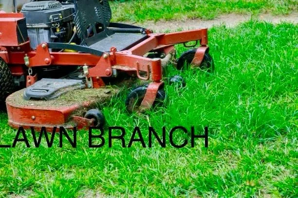 Expert landscape design in Long Pond, PA - Lawn Branch