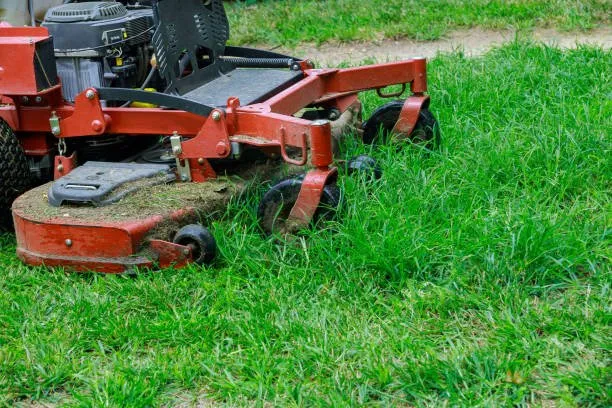 Custom yard maintenance for year-round maintenance across Long Pond, PA - Lawn Branch