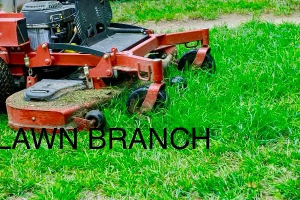 Lawn Branch