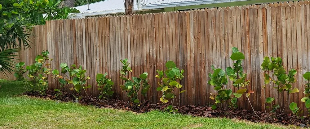 Local lawn mowing service with custom design in South Daytona, FL by Lawn Brawn