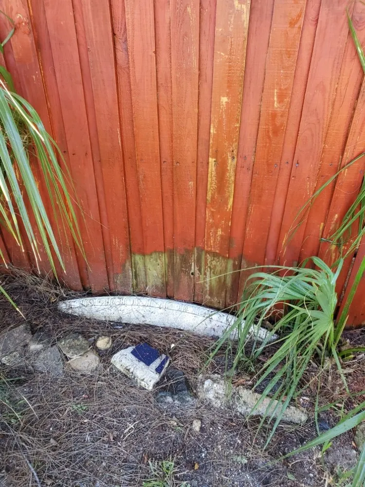 Professional landscape installation for residential properties in South Daytona, FL by Lawn Brawn