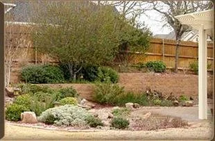 Trusted yard maintenance for year-round maintenance across Fort Worth, TX - Lawn Brigade