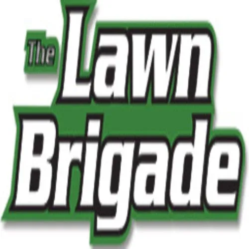 Reliable yard cleanup service with custom design in Fort Worth, TX by Lawn Brigade
