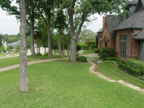 Top-rated yard cleanup service with custom design in Fort Worth, TX by Lawn Brigade