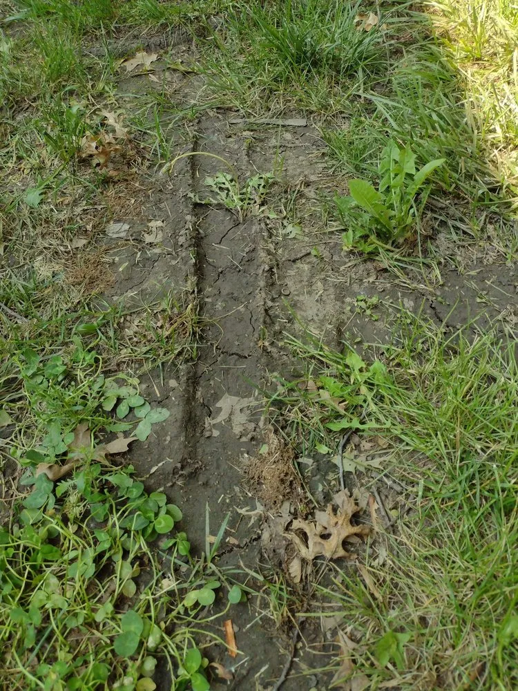 Expert yard cleanup service in Tecumseh, KS by Lawn Brigade