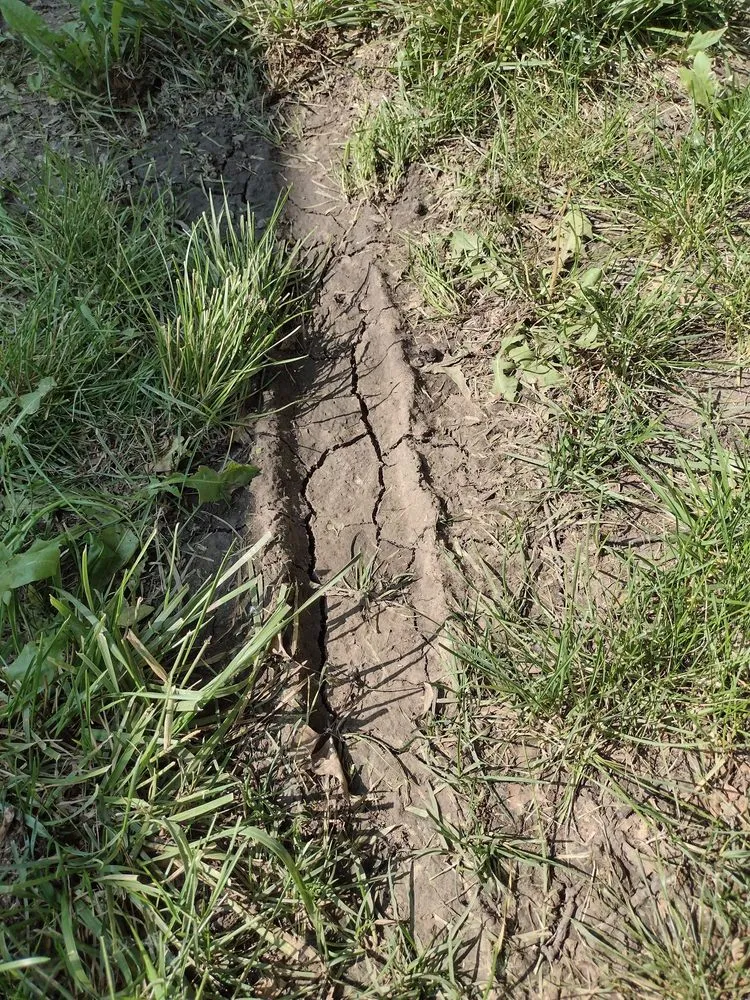 Custom lawn care service for beautiful yards across Tecumseh, KS - Lawn Brigade