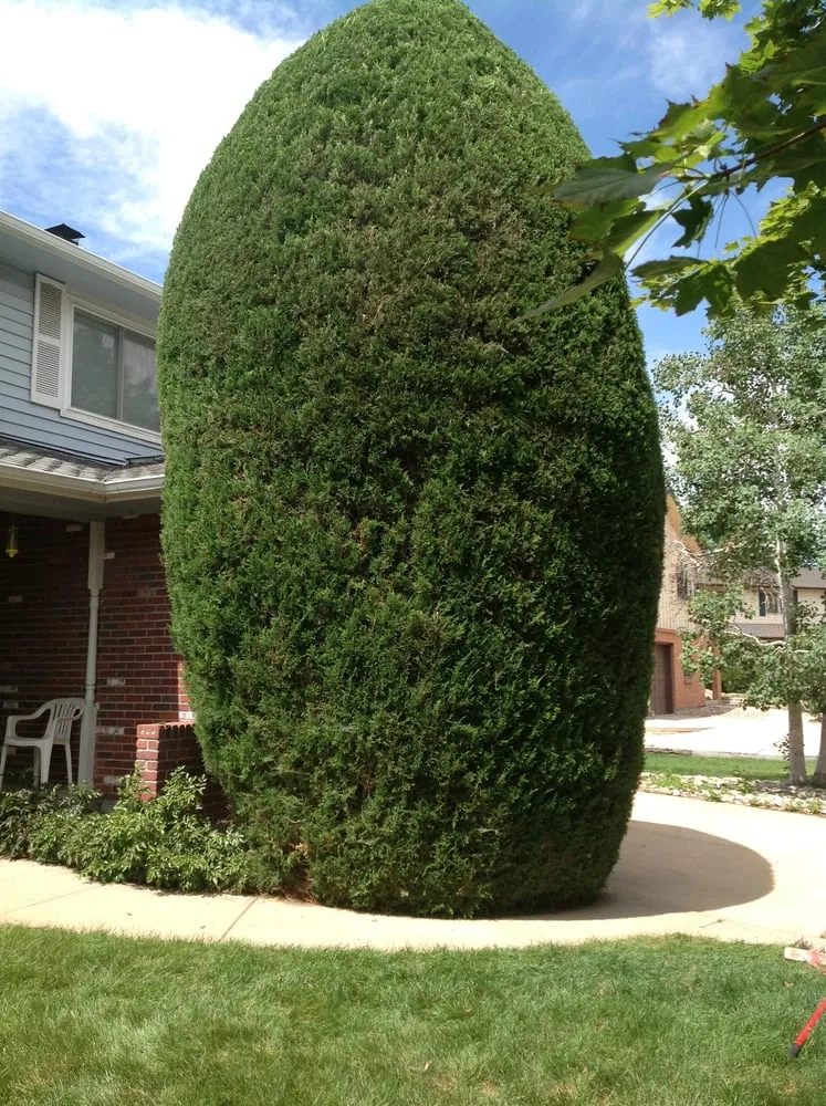 Local lawn mowing service experts serving Aurora, CO - Lawn Bros