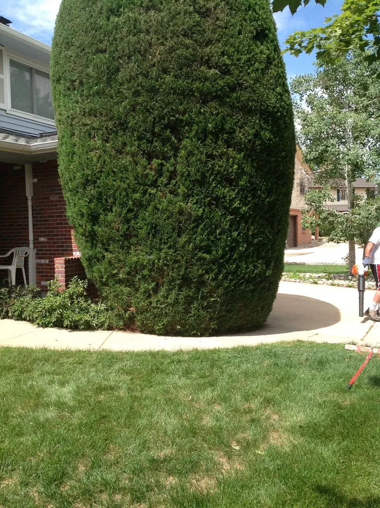 Affordable landscaping services in Aurora, CO - Lawn Bros