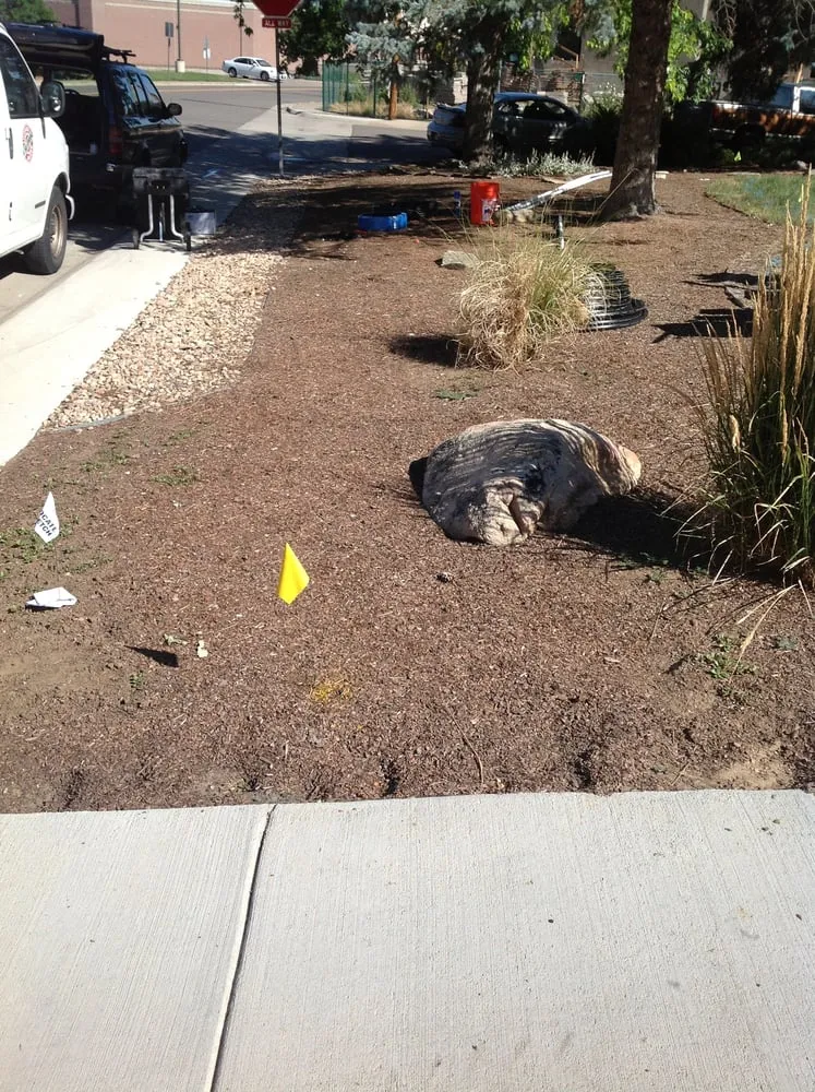 Professional lawn mowing service in Aurora, CO - Lawn Bros