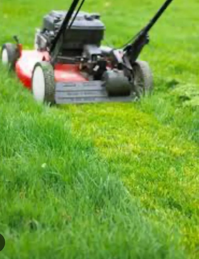 Affordable landscaping services in Eustace, TX - Lawn Bros