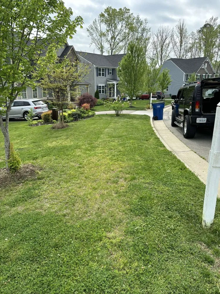 Trusted yard cleanup service near you across Moseley, VA - Lawn Bros Landscaping