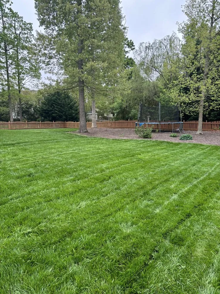 Expert yard maintenance experts serving Moseley, VA - Lawn Bros Landscaping
