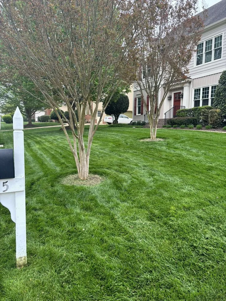 Custom lawn mowing service for outdoor upgrades across Moseley, VA - Lawn Bros Landscaping