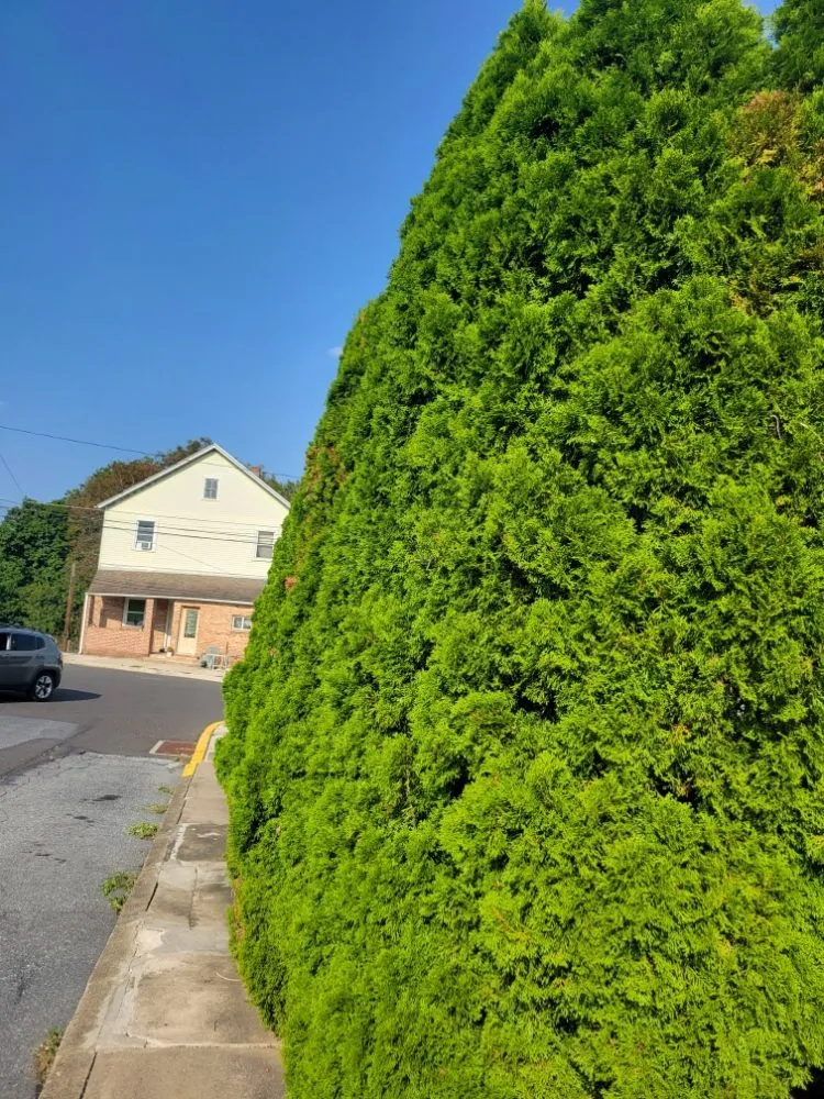 Affordable residential landscaping in Allentown, PA - Lawn Brothers PR Services