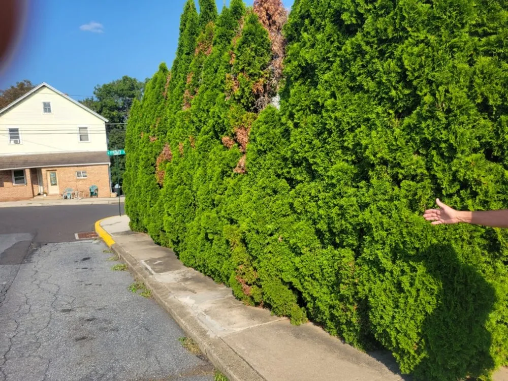 Top-rated lawn care service in Allentown, PA - Lawn Brothers PR Services