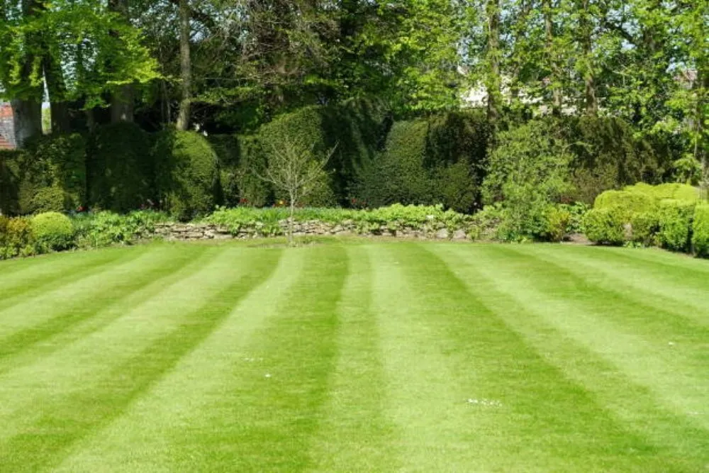 Custom lawn mowing service for year-round maintenance across Allentown, PA - Lawn Brothers PR Services