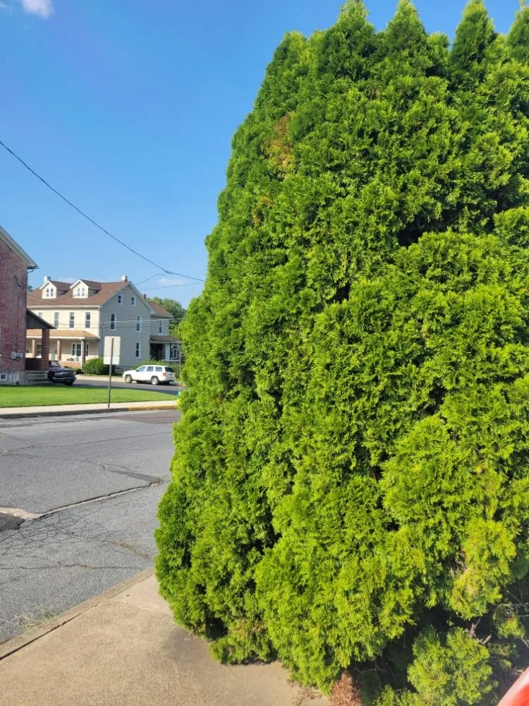 Affordable garden landscaping in Allentown, PA by Lawn Brothers PR Services