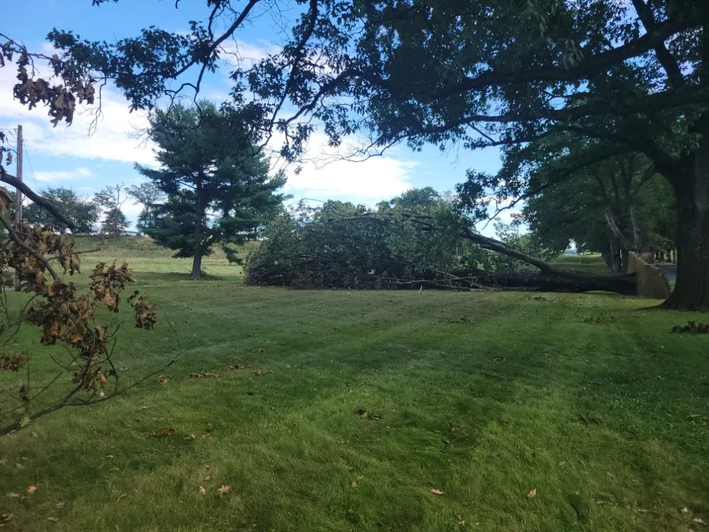 Top-rated landscape installation in Allentown, PA - Lawn Brothers PR Services