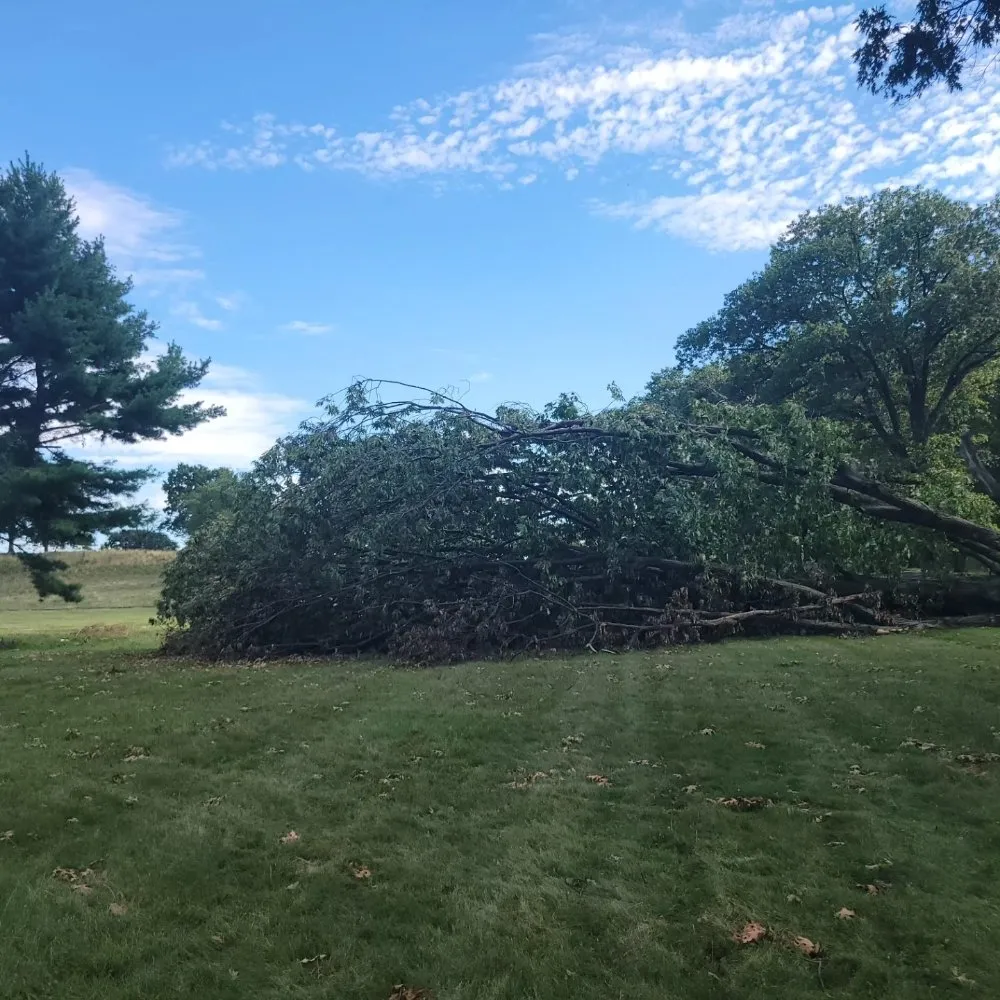 Affordable yard maintenance in Allentown, PA - Lawn Brothers PR Services