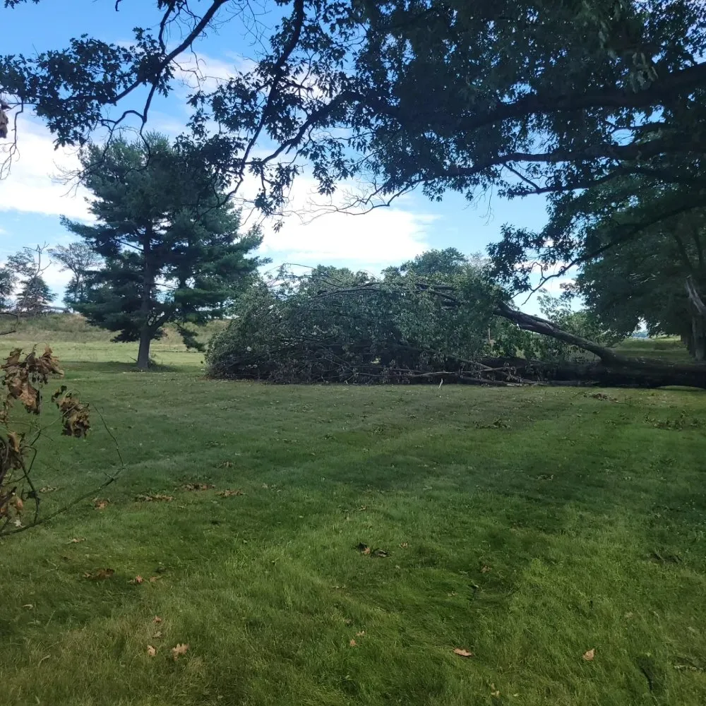 Top-rated landscaping services for beautiful yards in Allentown, PA by Lawn Brothers PR Services