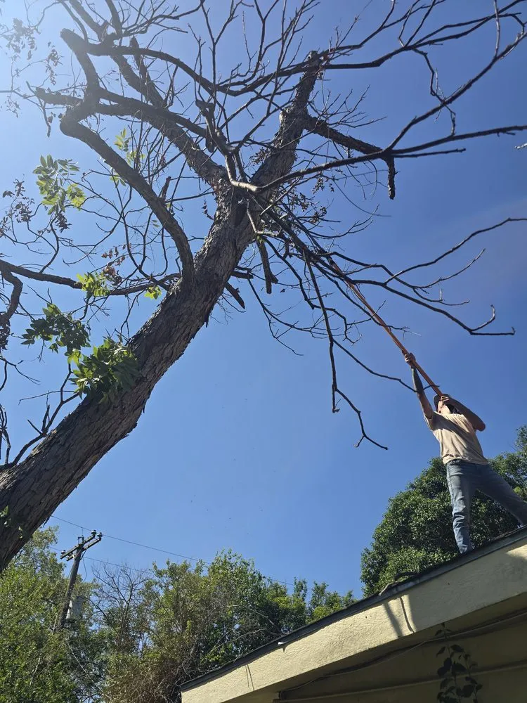 Custom residential landscaping for year-round maintenance across San Antonio, TX - Lawn Brothers