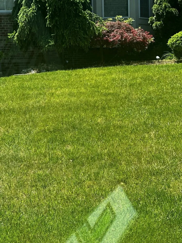 Expert outdoor landscaping for year-round maintenance across Manalapan, NJ - Lawn Buddies