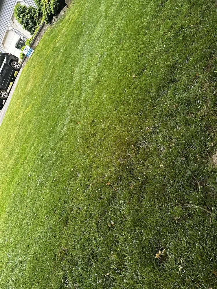 Top-rated lawn mowing service in Manalapan, NJ - Lawn Buddies