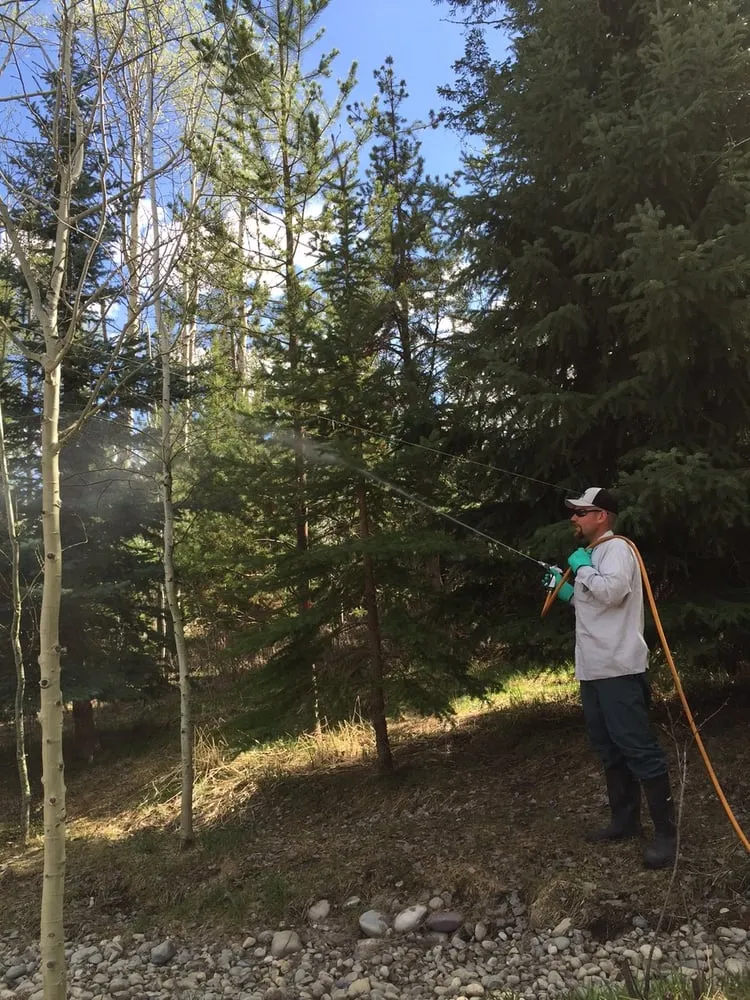 Expert residential landscaping in Rexburg, ID - Lawn Buddies