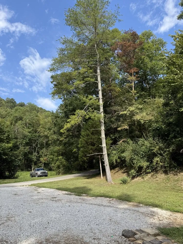 Custom landscaping services experts serving Somerset, KY - Lawn Buddies