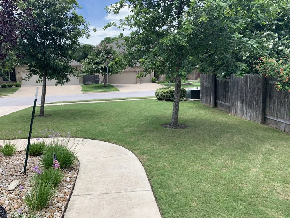 Expert yard maintenance for homes in Cedar Park, TX by Lawn Buddy