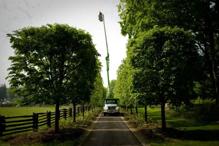 Trusted landscape design in Eddington, PA by Lawn Buddys