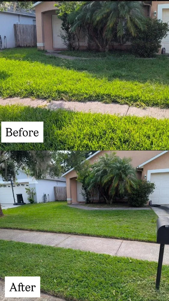 Professional landscaping services in Daytona Beach Shores, FL - Lawn Buddyz