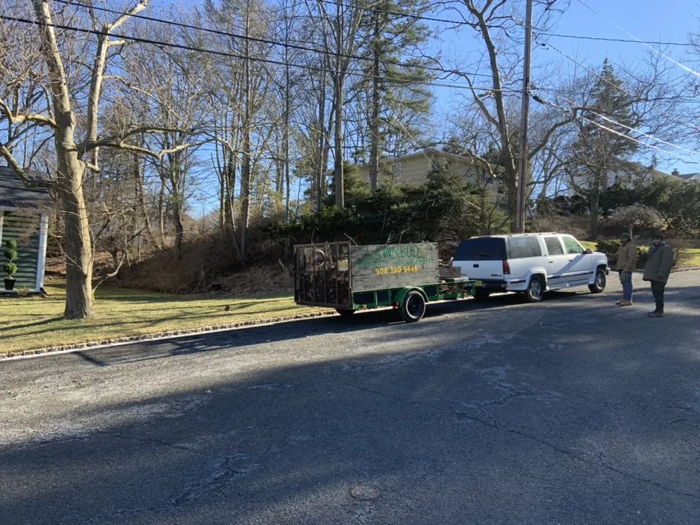 Affordable landscape design in Bridgewater Township, NJ by Lawn Buds Property Management