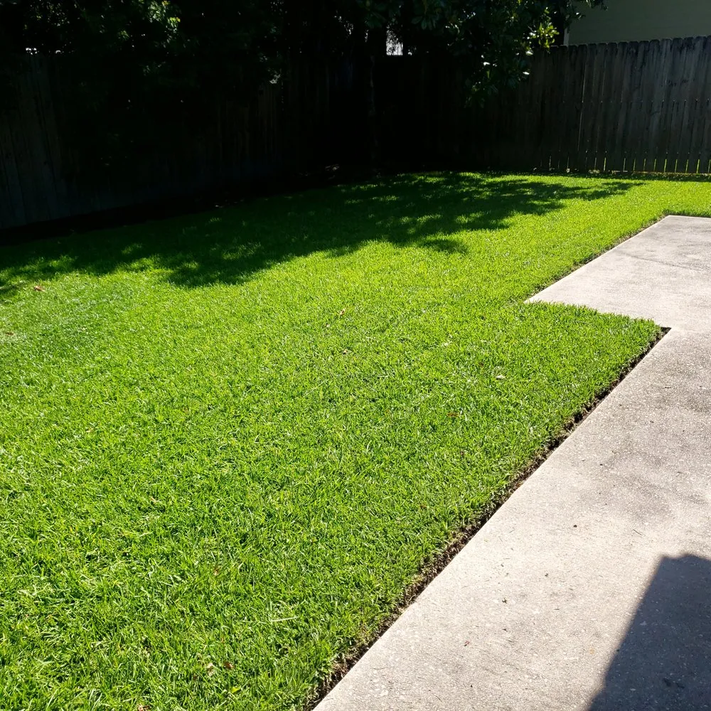 Local landscape design experts serving Gonzales, LA - Lawn Buster