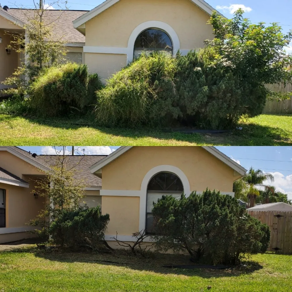 Affordable yard cleanup service in Ocoee, FL by Lawn Busters