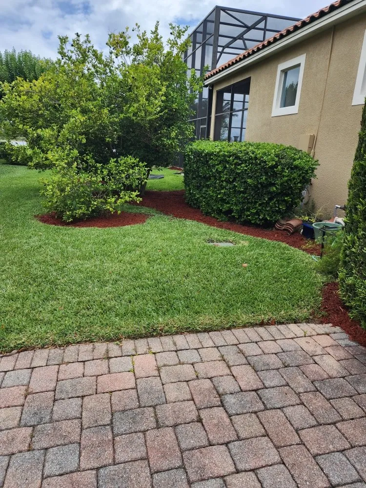 Expert residential landscaping for year-round maintenance in Ocoee, FL by Lawn Busters