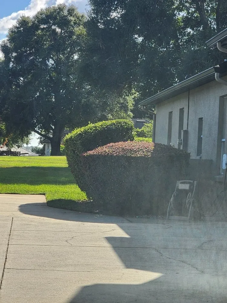 Trusted lawn care service in Ocoee, FL by Lawn Busters