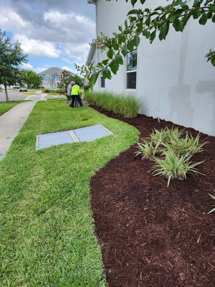 Custom yard cleanup service experts serving Ocoee, FL - Lawn Busters