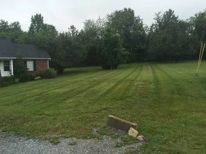 Professional landscaping services near you across White House, TN - Lawn Busters