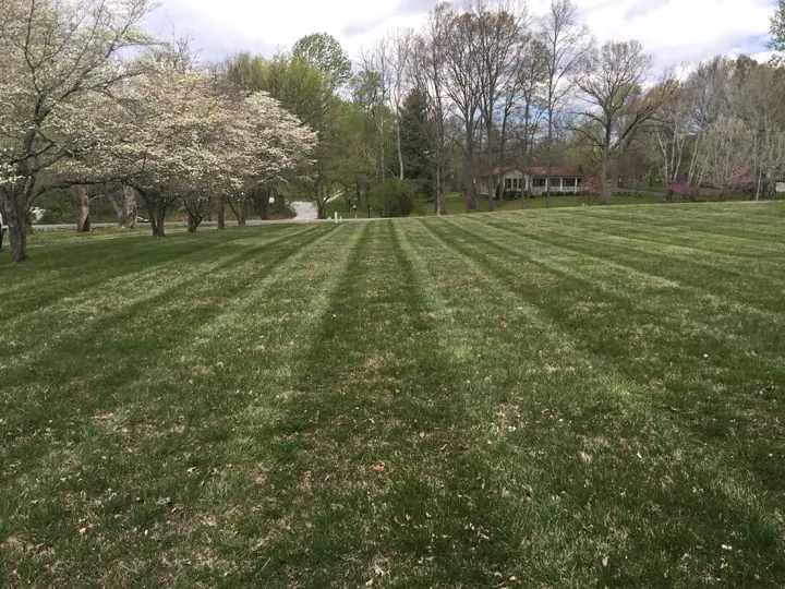 Trusted residential landscaping in White House, TN - Lawn Busters