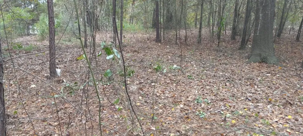 Top-rated landscape installation experts serving Gladewater, TX - Lawn Butler