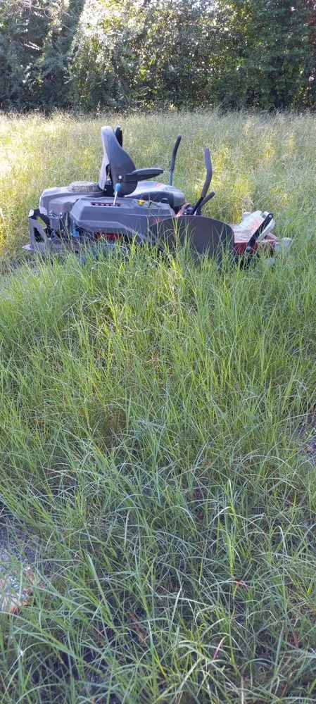 Professional landscaping services for year-round maintenance in Gladewater, TX by Lawn Butler