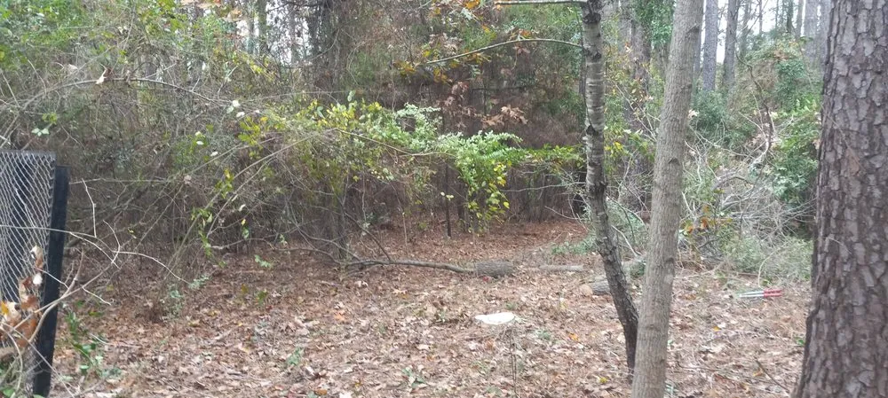 Local landscaping services for year-round maintenance across Gladewater, TX - Lawn Butler