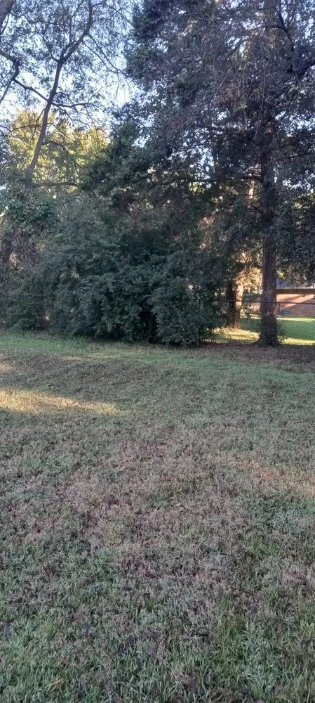 Reliable lawn mowing service in Gladewater, TX - Lawn Butler