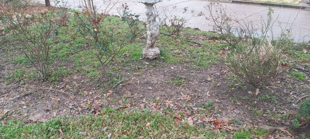 Custom landscaping services in Gladewater, TX - Lawn Butler