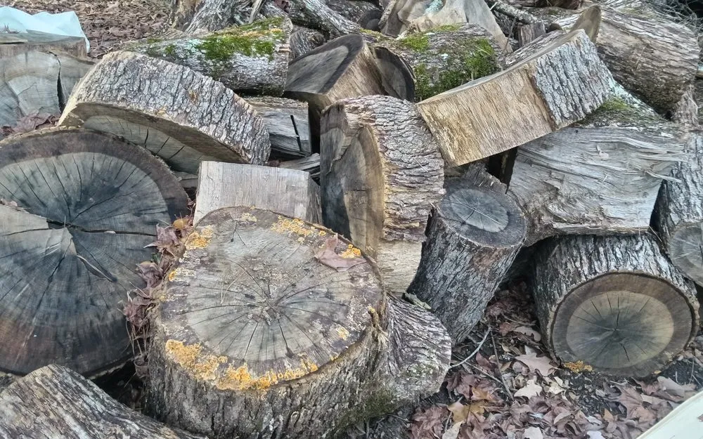 Expert landscape design in Gladewater, TX by Lawn Butler