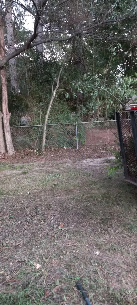 Local lawn care service for residential properties in Gladewater, TX by Lawn Butler