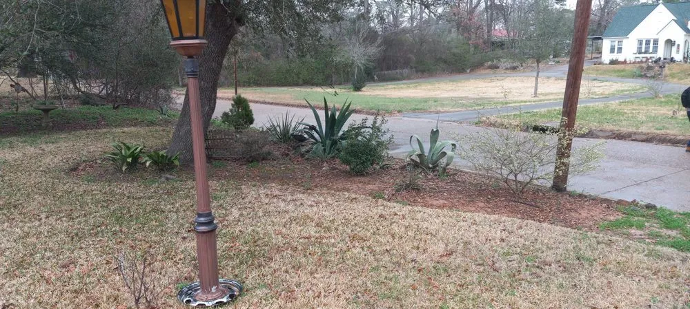 Professional garden landscaping for year-round maintenance across Gladewater, TX - Lawn Butler